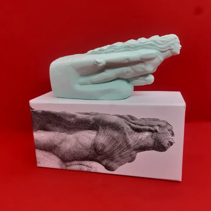 592213217 789511450787748 7978938075112324347 N